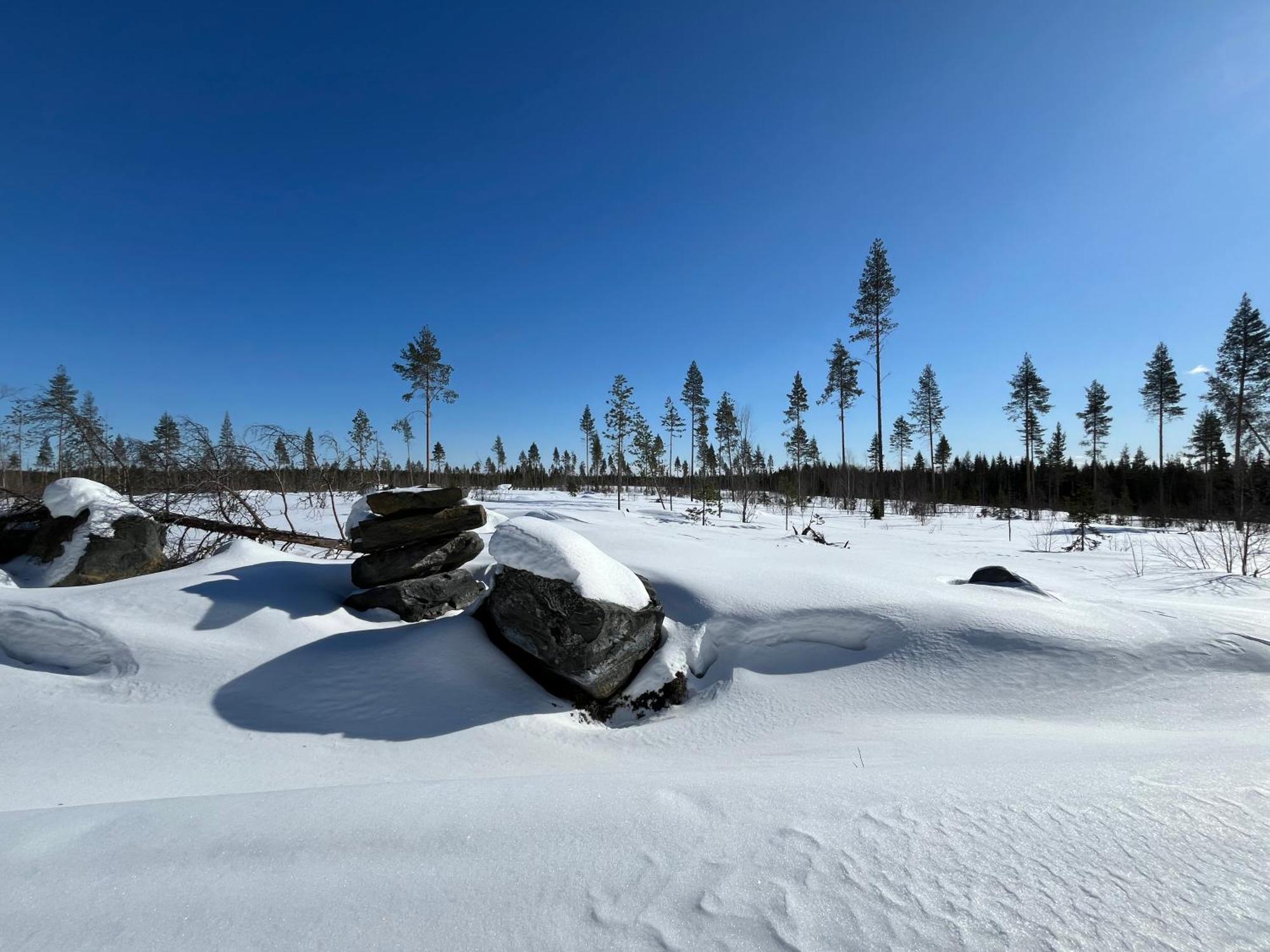 Log Cottages In 10 Min From Santa Claus Village-Sauna&Freeparking Rovaniemi Esterno foto